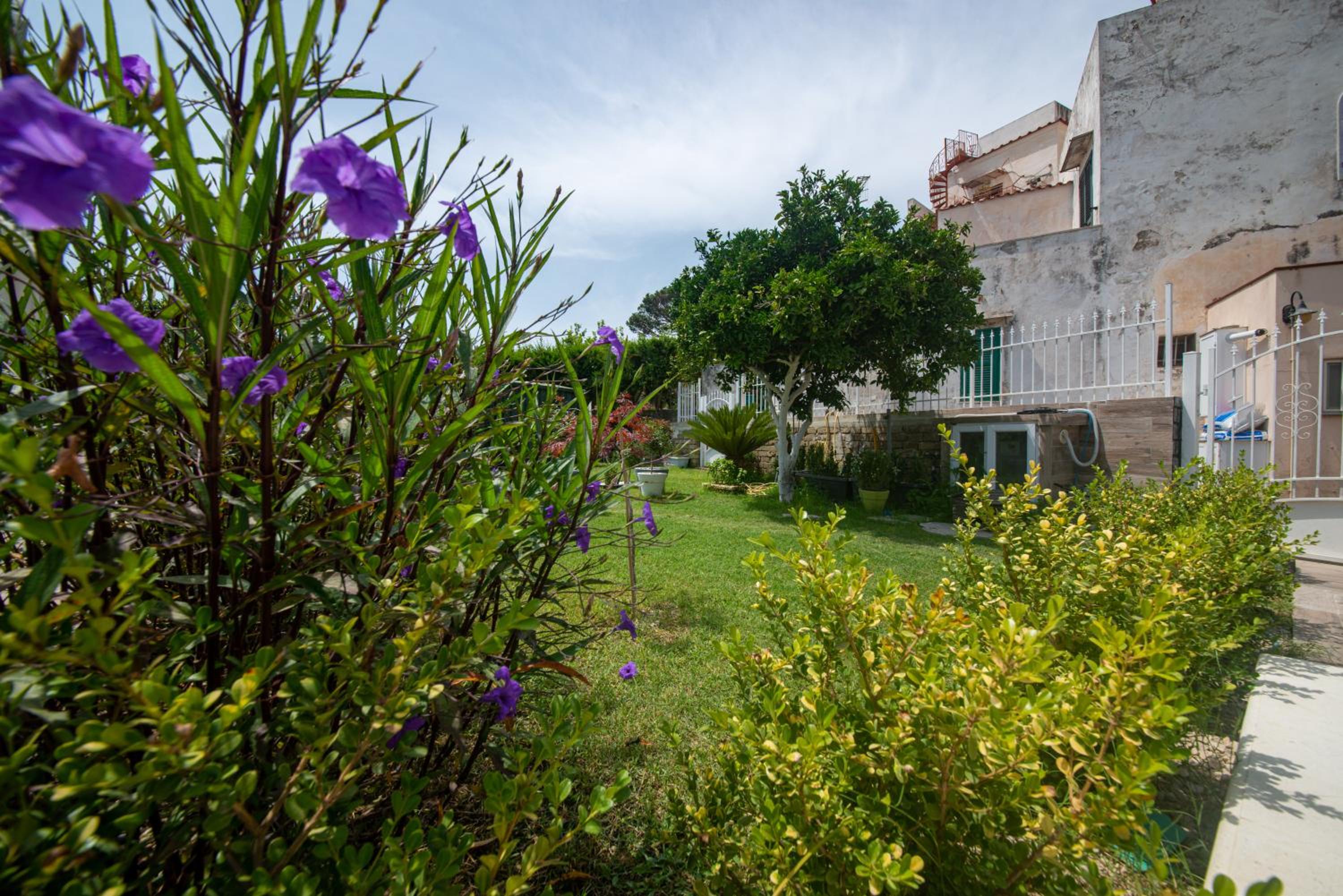 IL GIARDINO en Procida