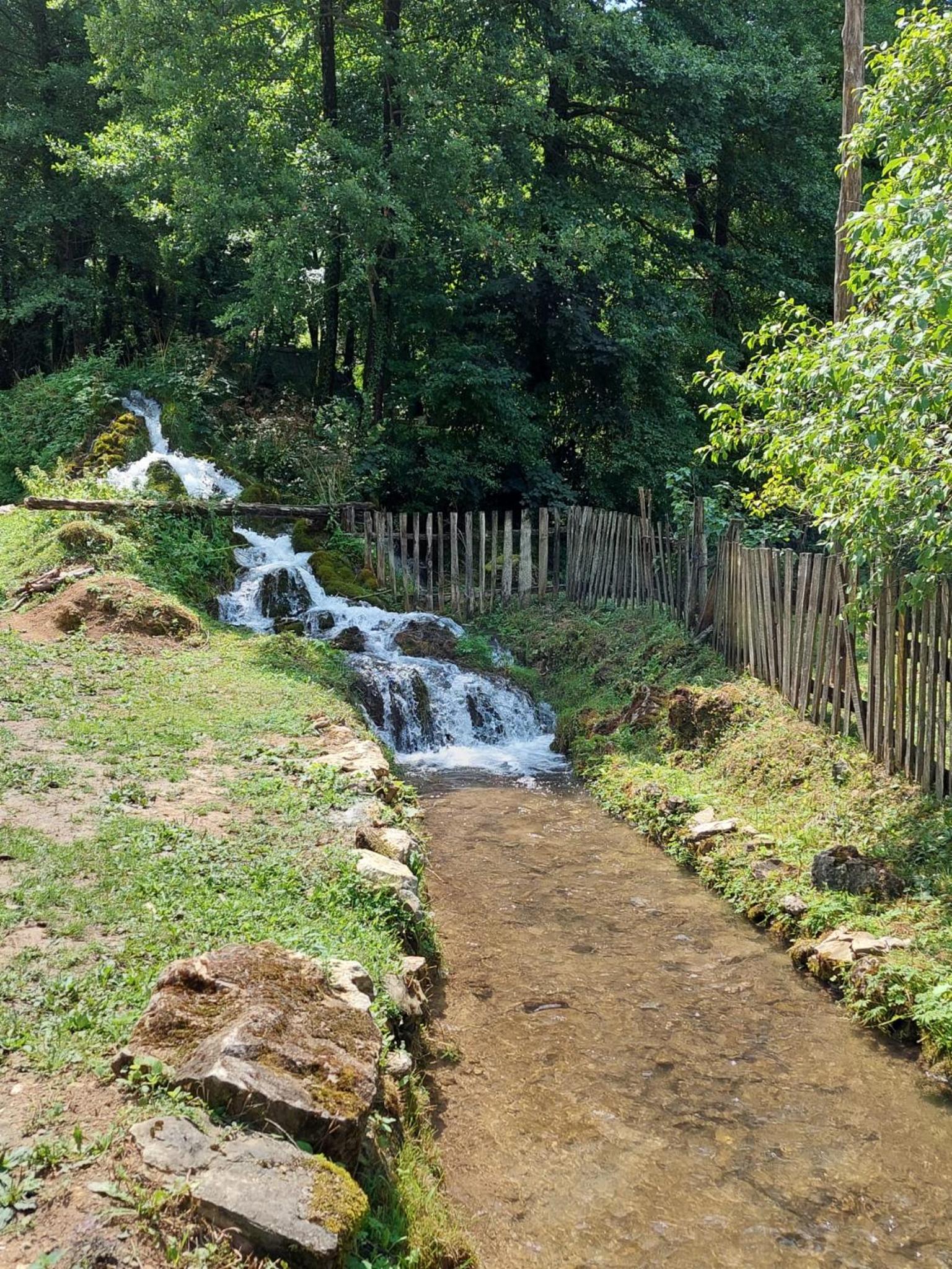 Domacinstvo Ubovic