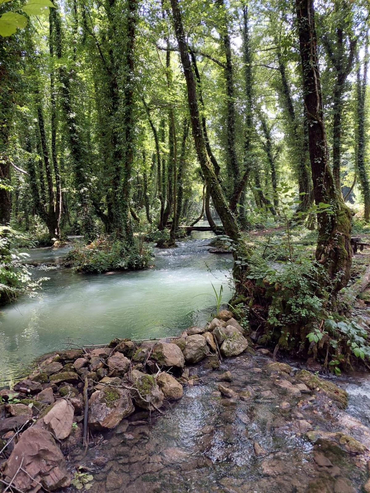 Domacinstvo Ubovic