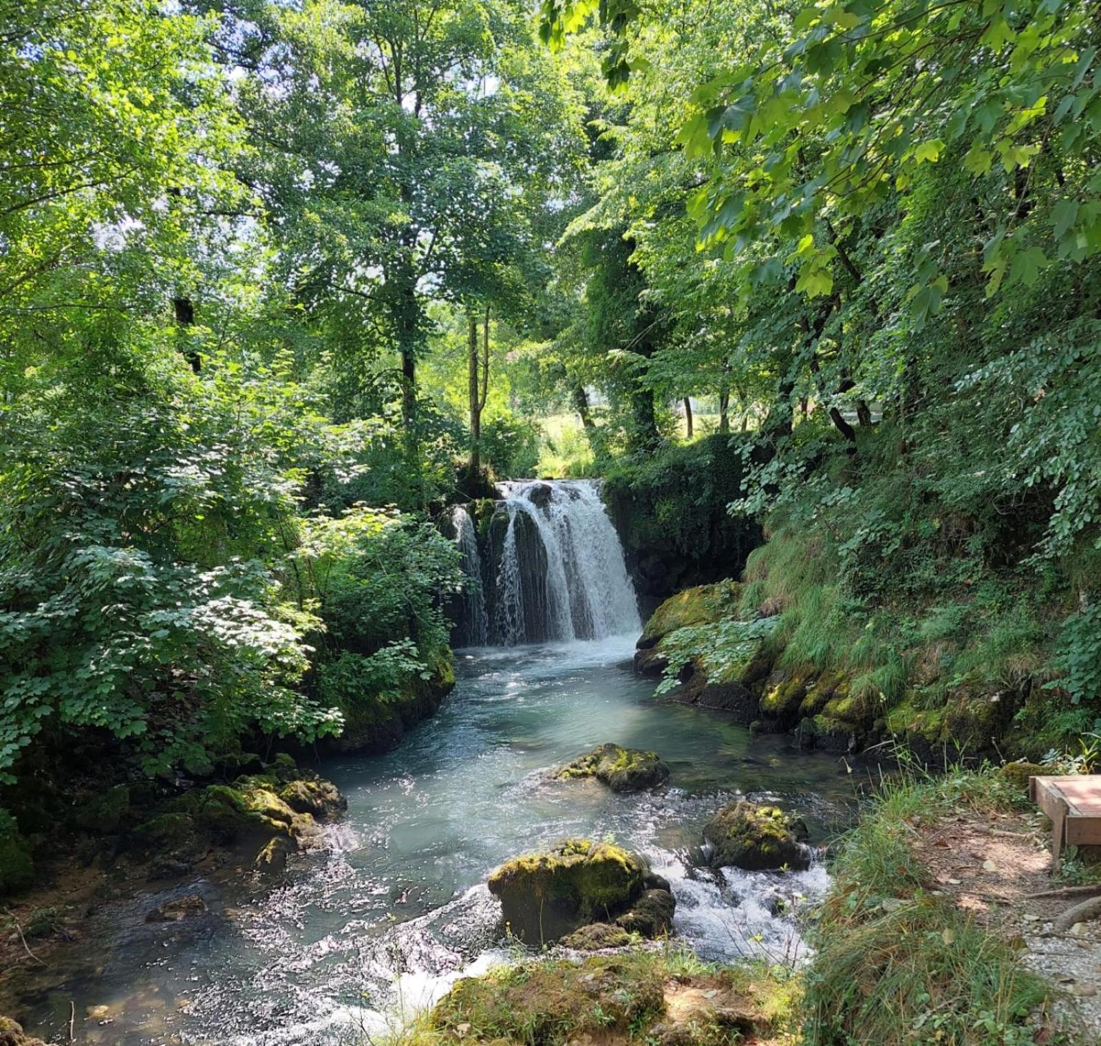 Domacinstvo Ubovic