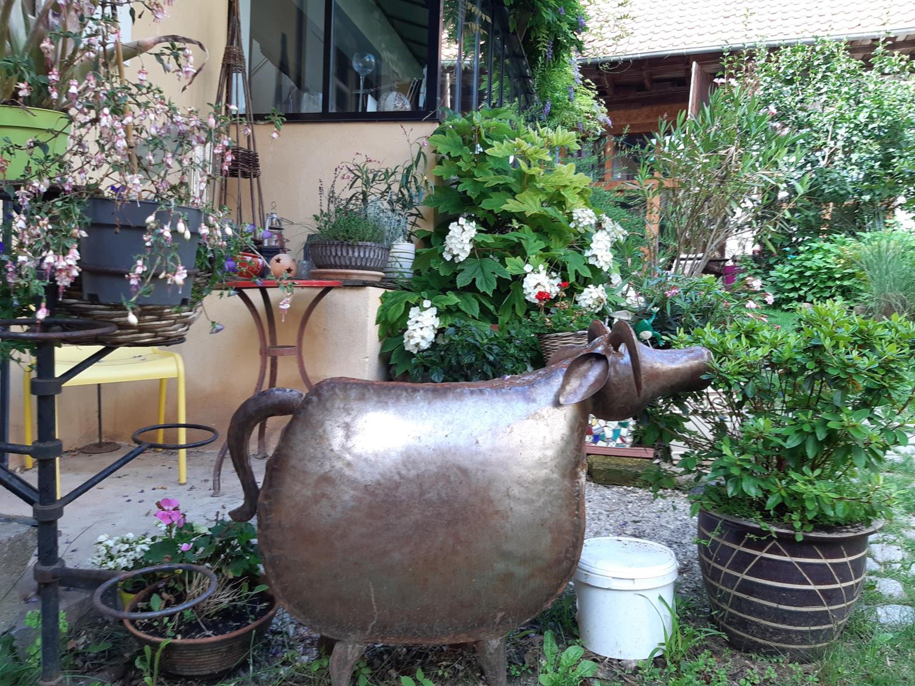 Photo 14