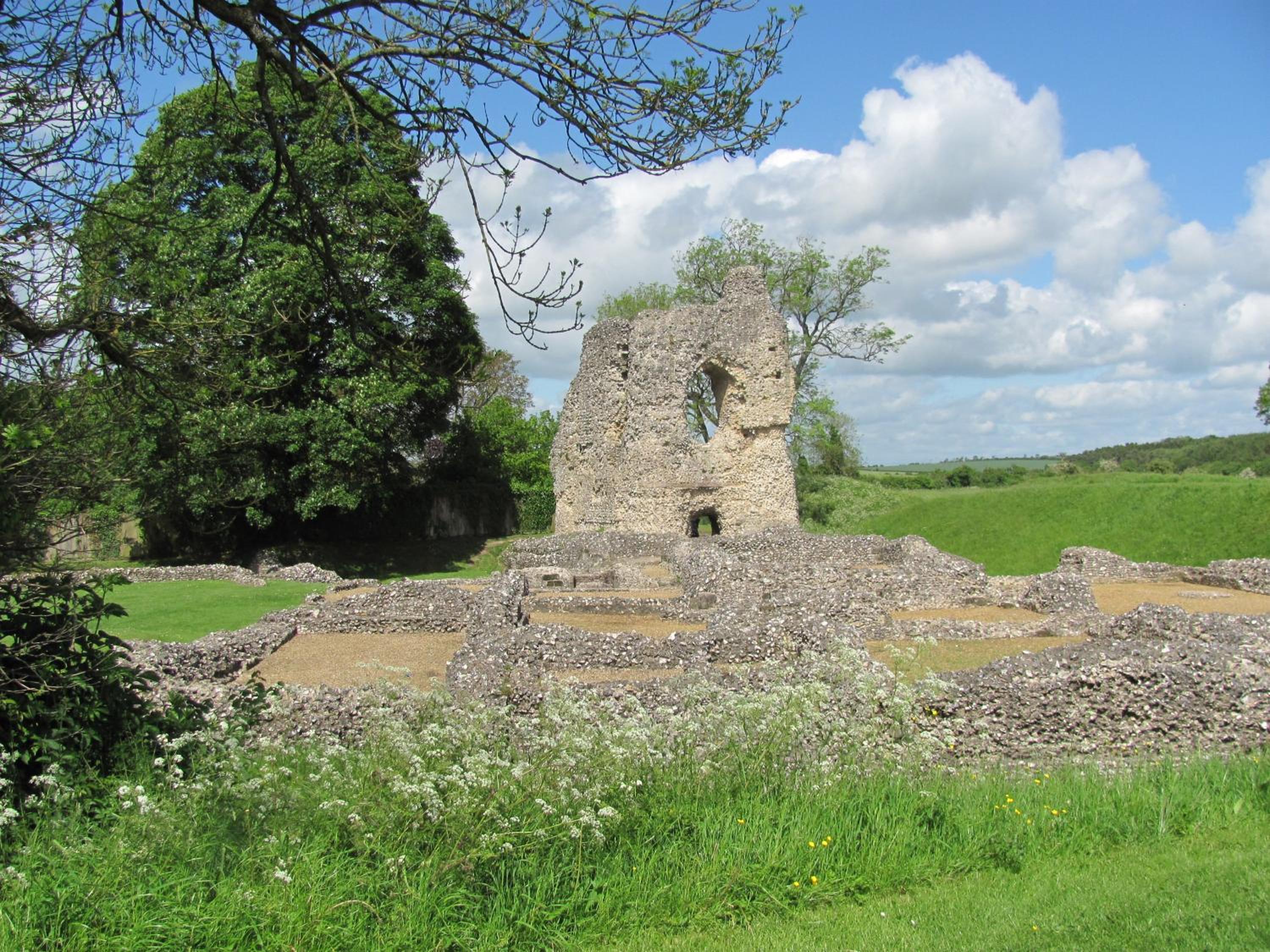 Photo 12