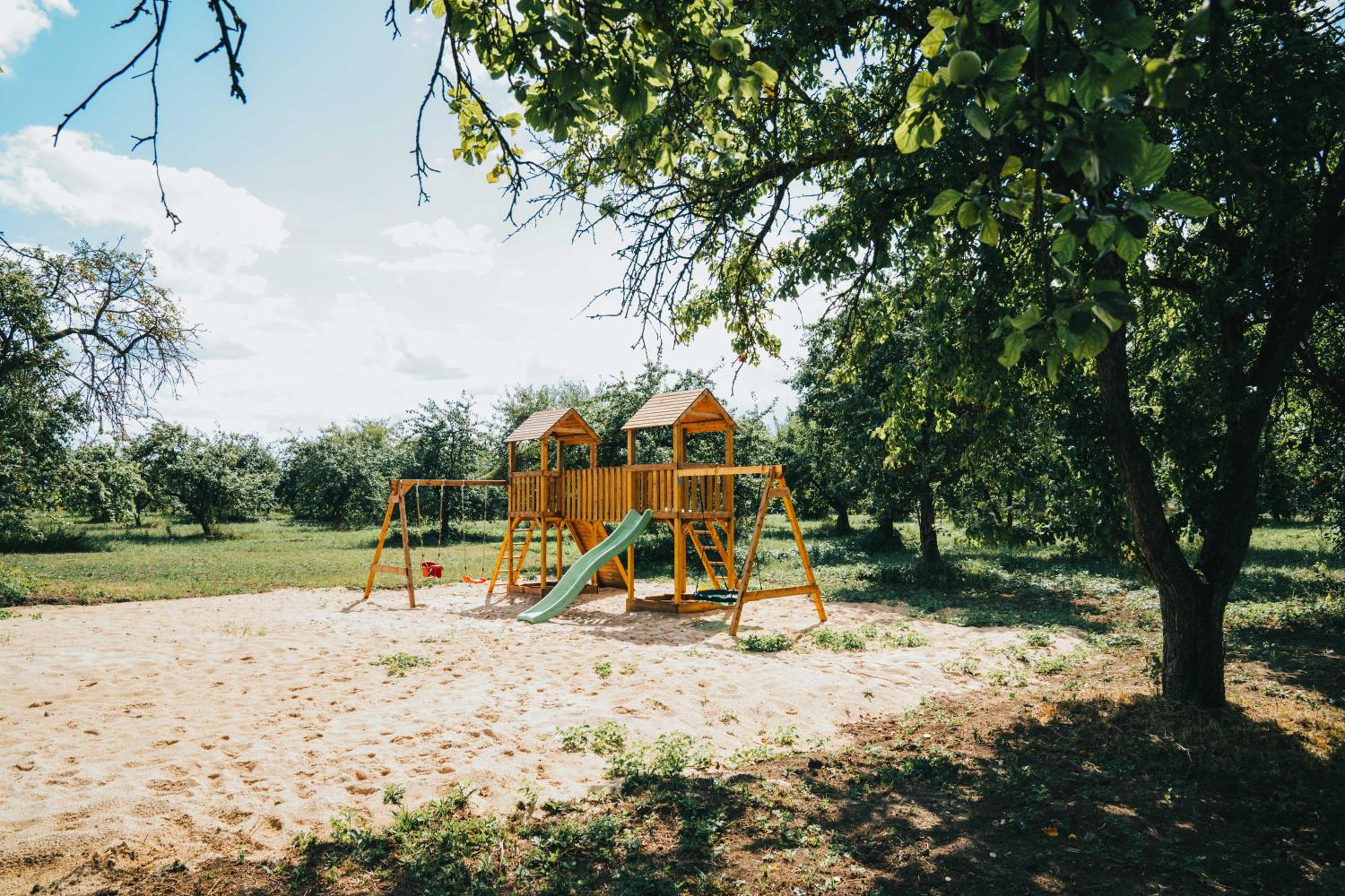Photo 19