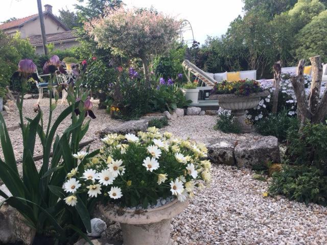 Chez Brown view 5