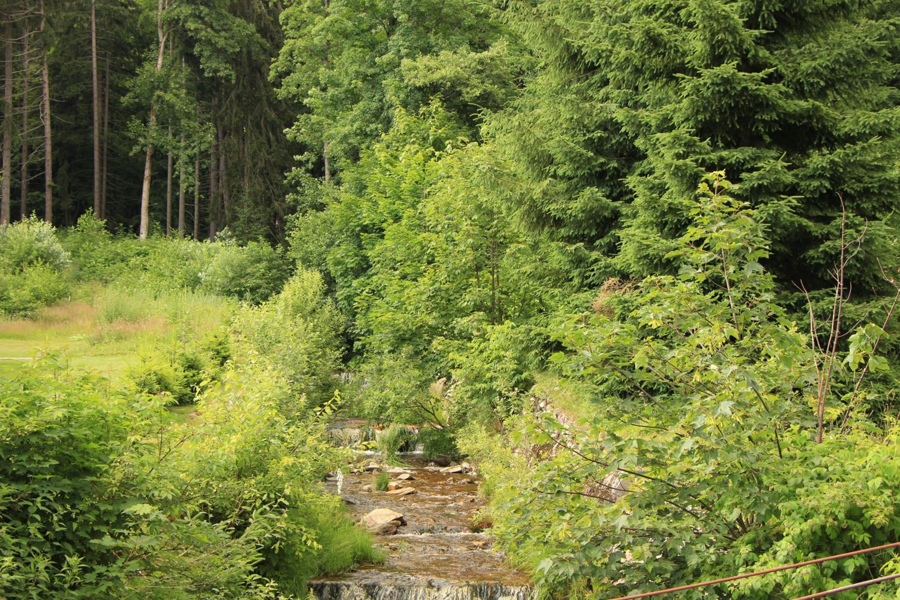 Photo 45