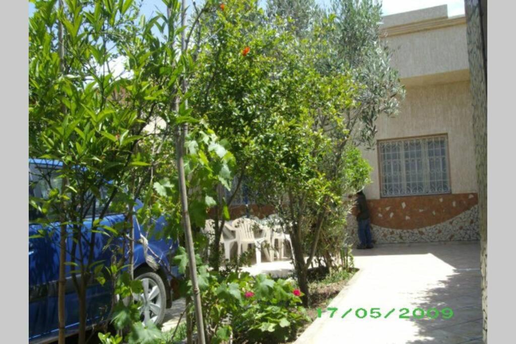 Photo 19
