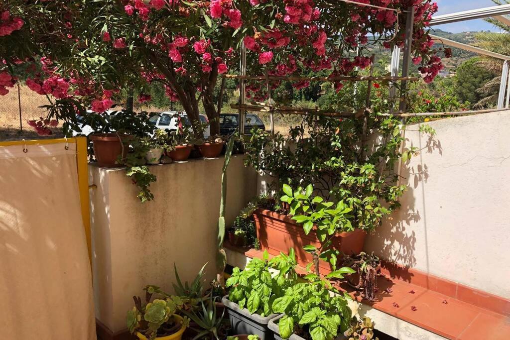 Casa di Salvo photo 3