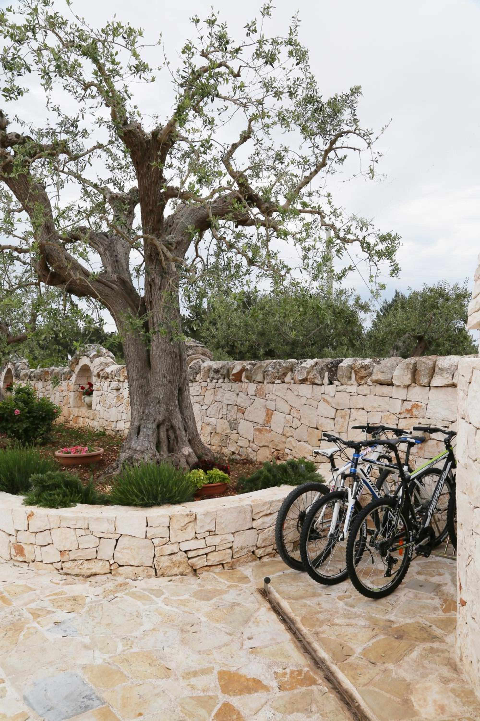 Trullo Montetrecarlini view 3