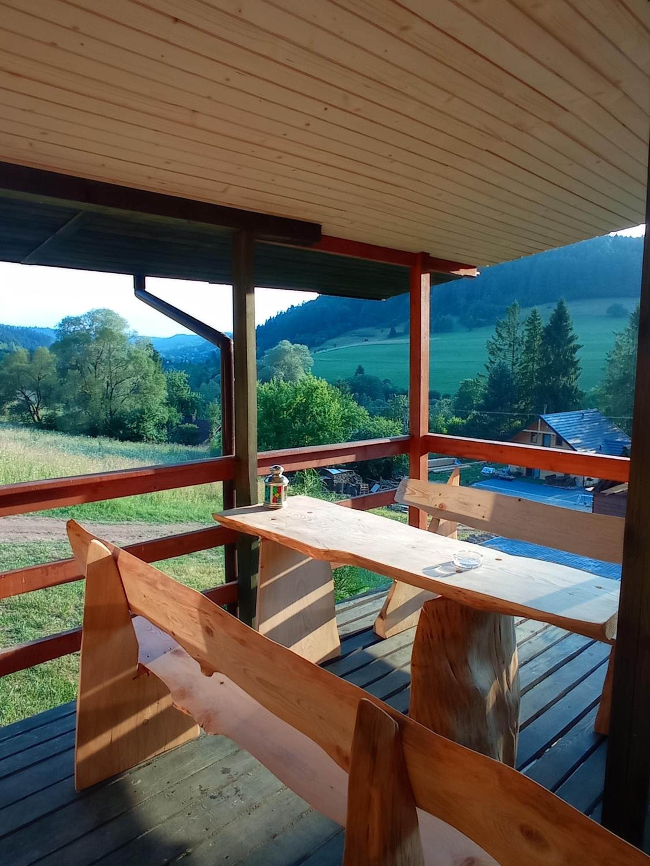 Leśny dzban view 3