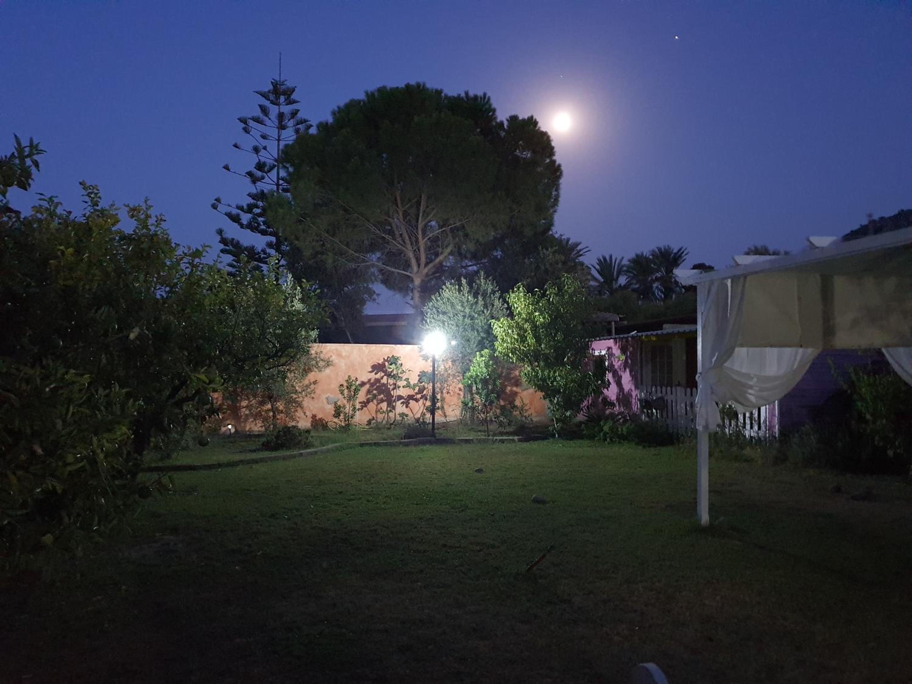 Photo 46