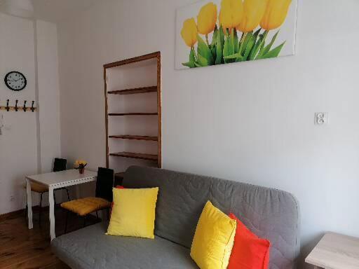 Hostel Tulip - Pokój 3 ze wspólną łazienką i kuchnią view 2