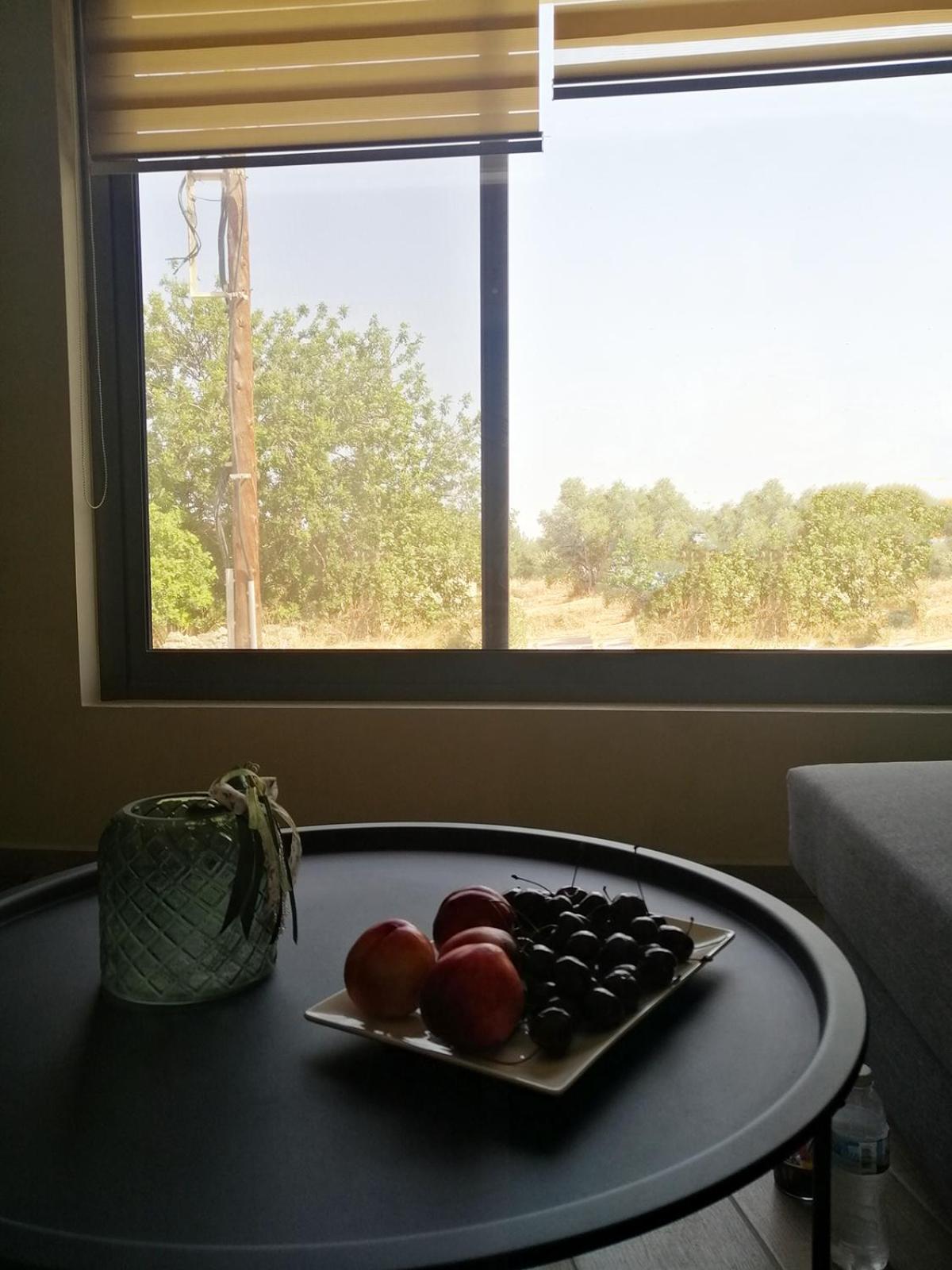 Harmony Superior Suite Apartment view 3
