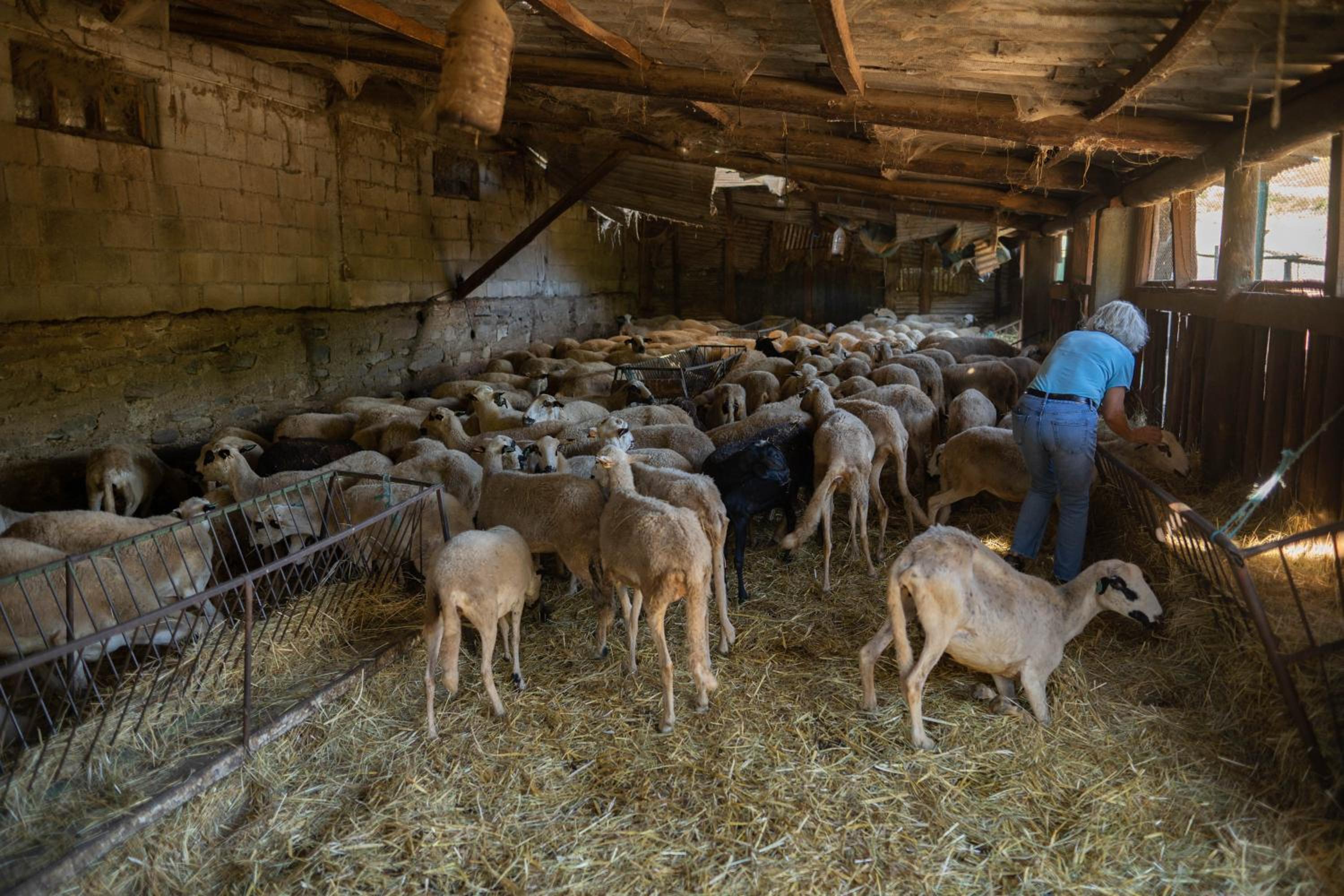 Hotel Montesinho Eco-Resort