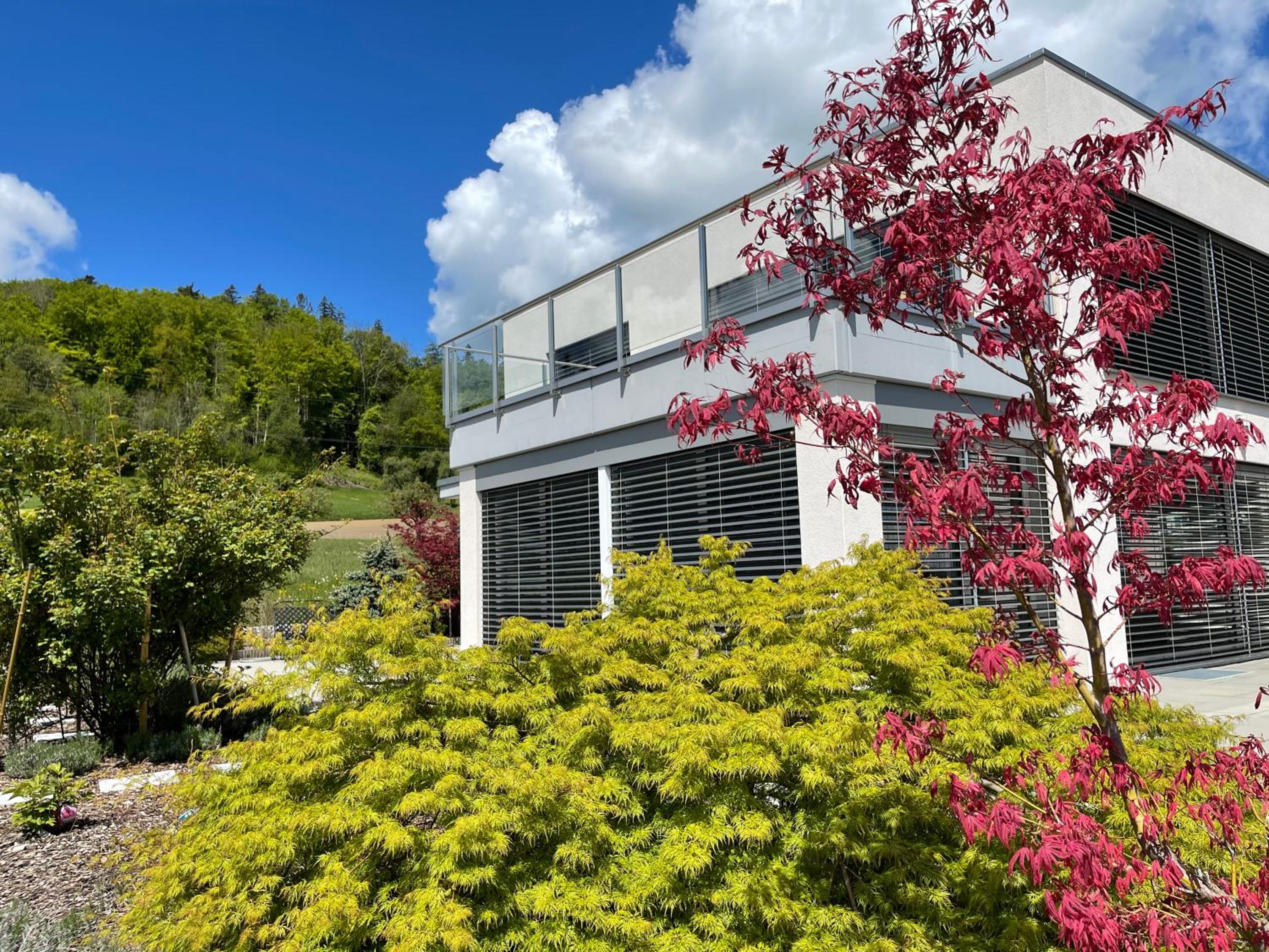 Belair Beinwil - B&B