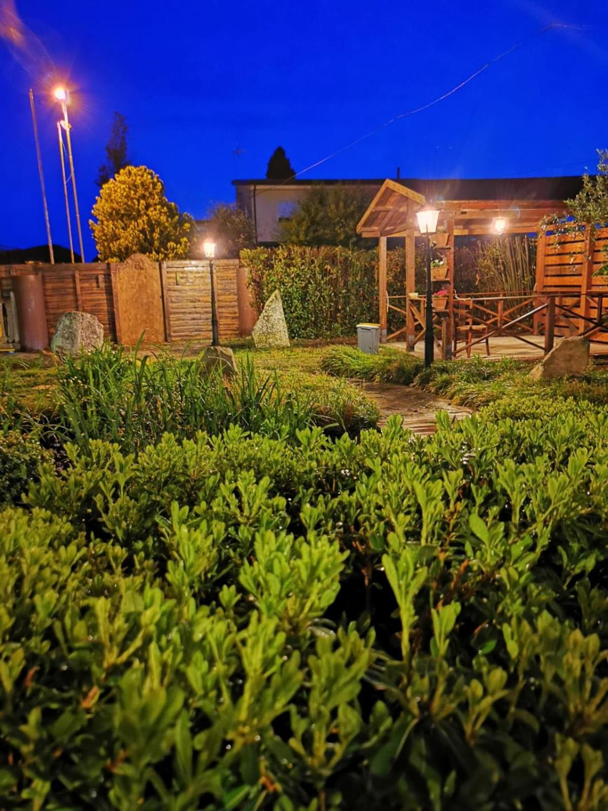 Photo 19