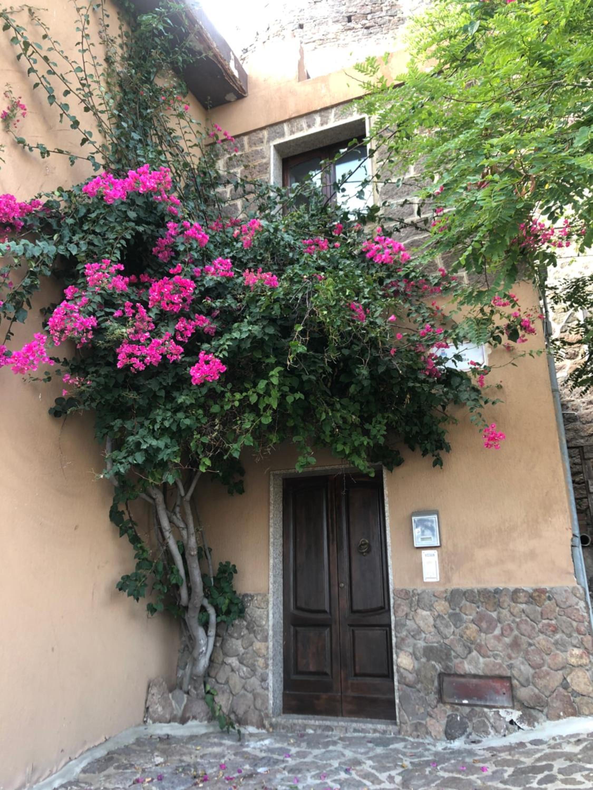La casa degli artisti photo 2