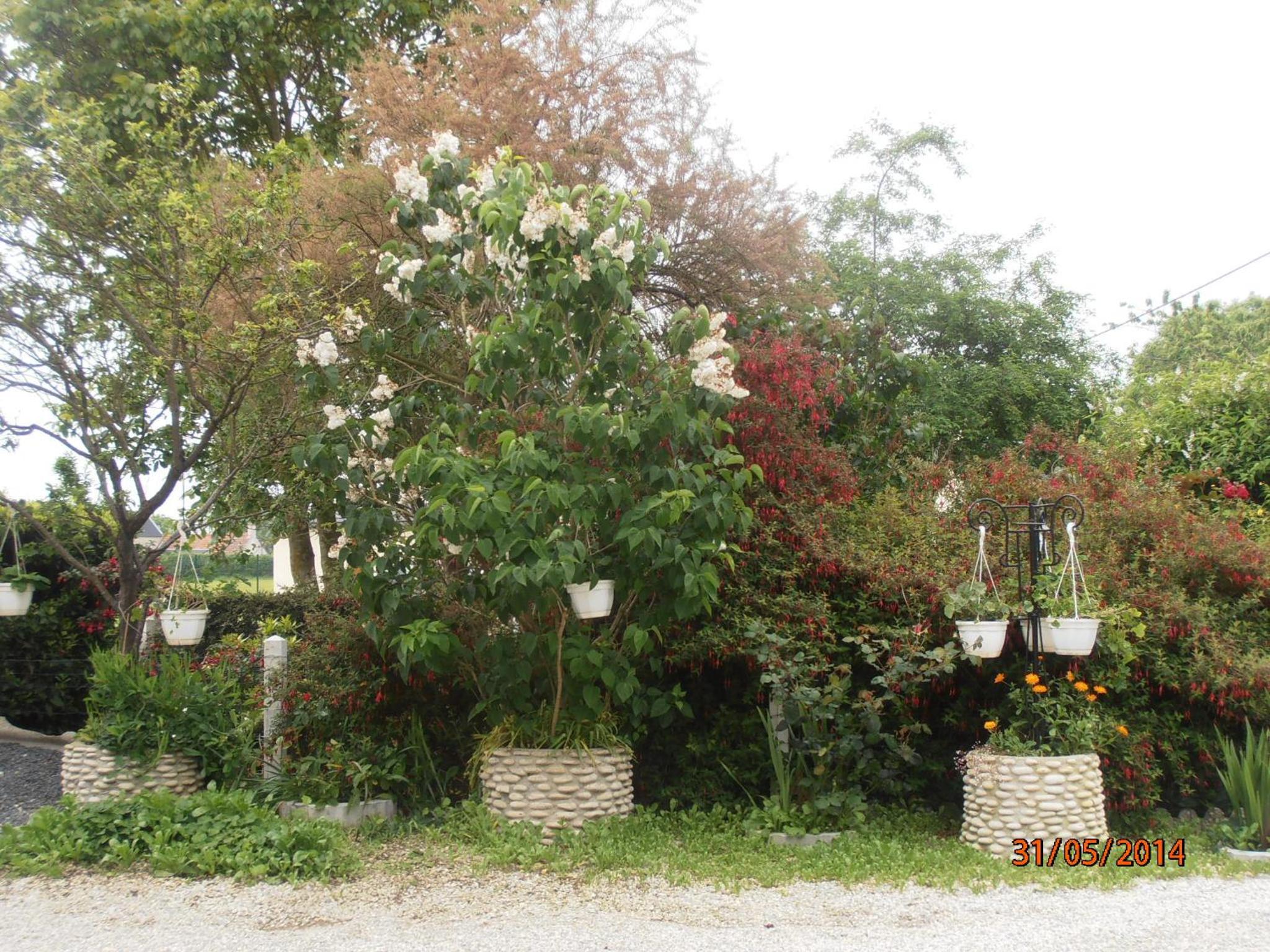 Photo 47
