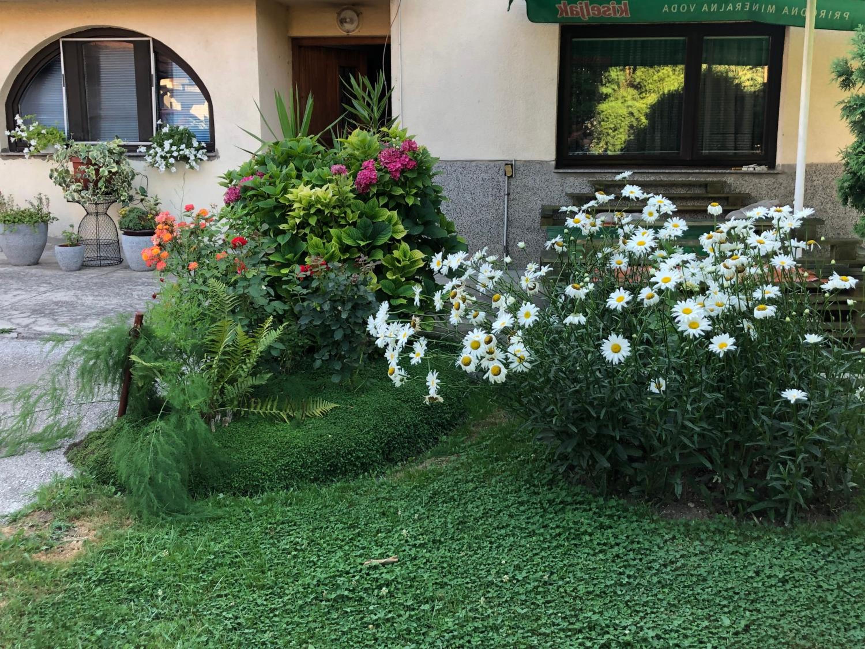 Photo 18