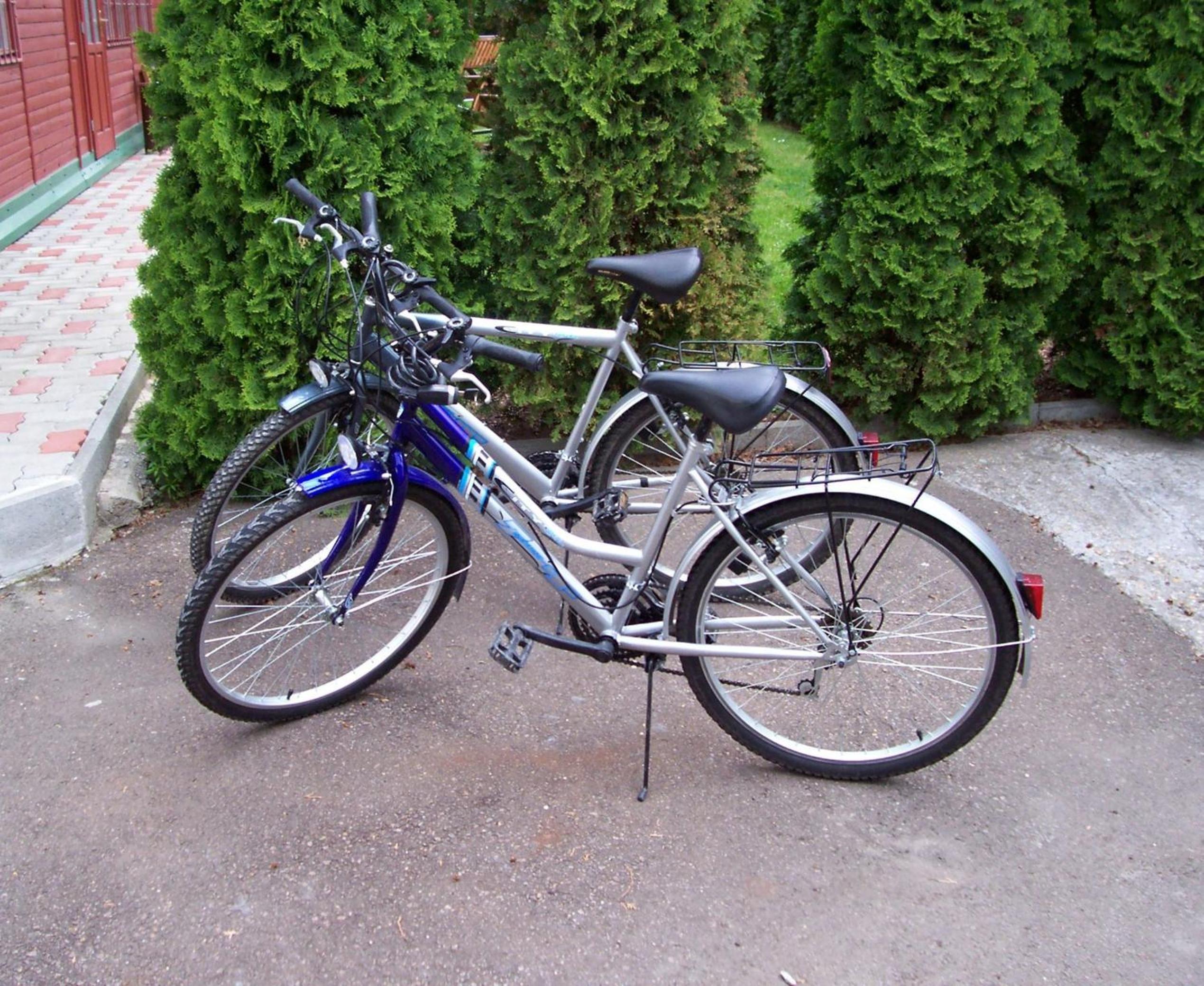Photo 28