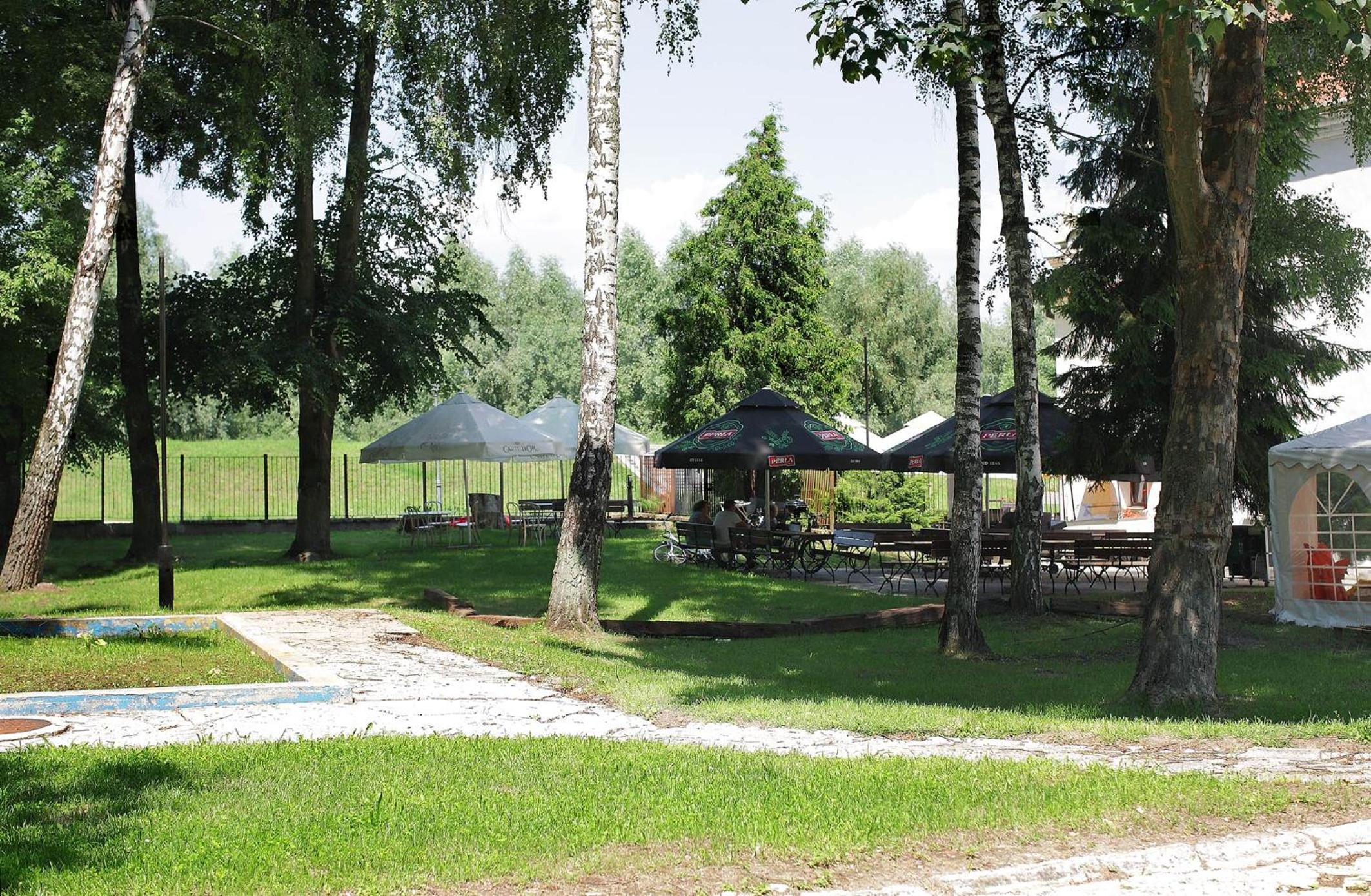 Photo 50