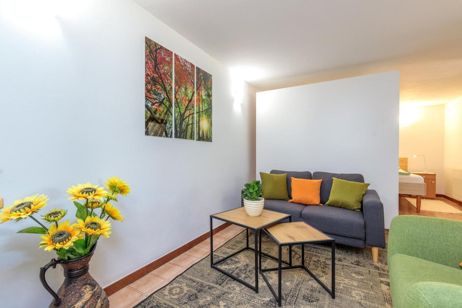 Studio Apartment Paljar