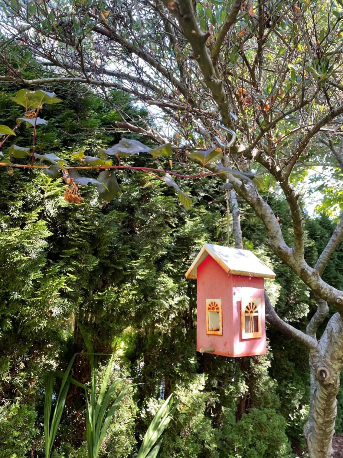 Kye Bay BnB - A Place to Breathe