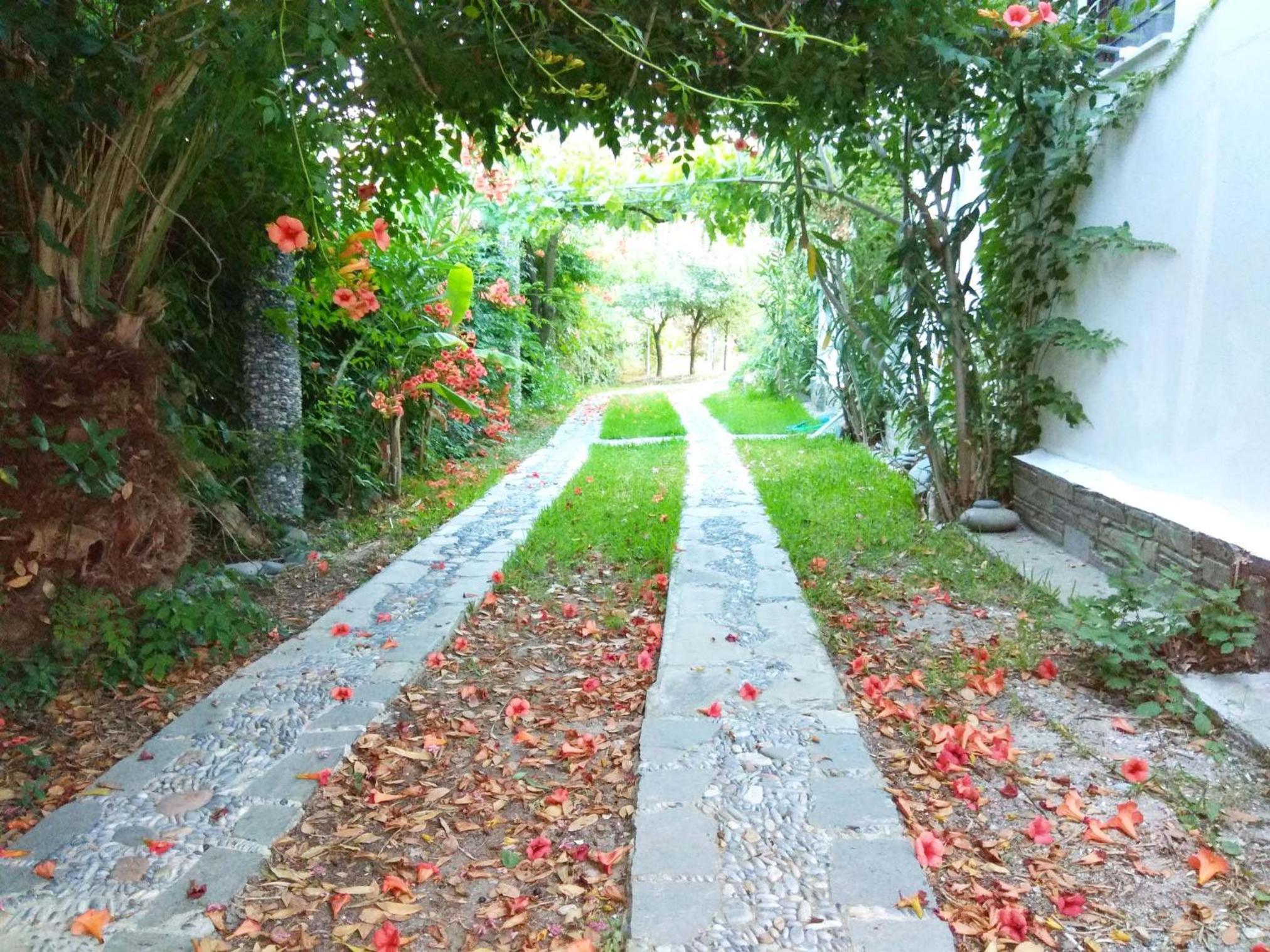 Beach Front Villa in Polychrono view 4