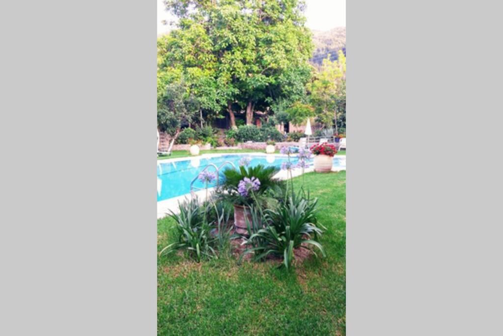 Katerina's House Apartment view 4