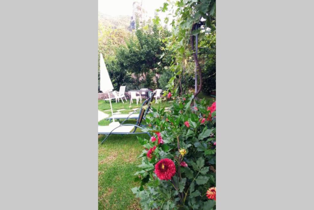 Katerina's House Apartment view 5