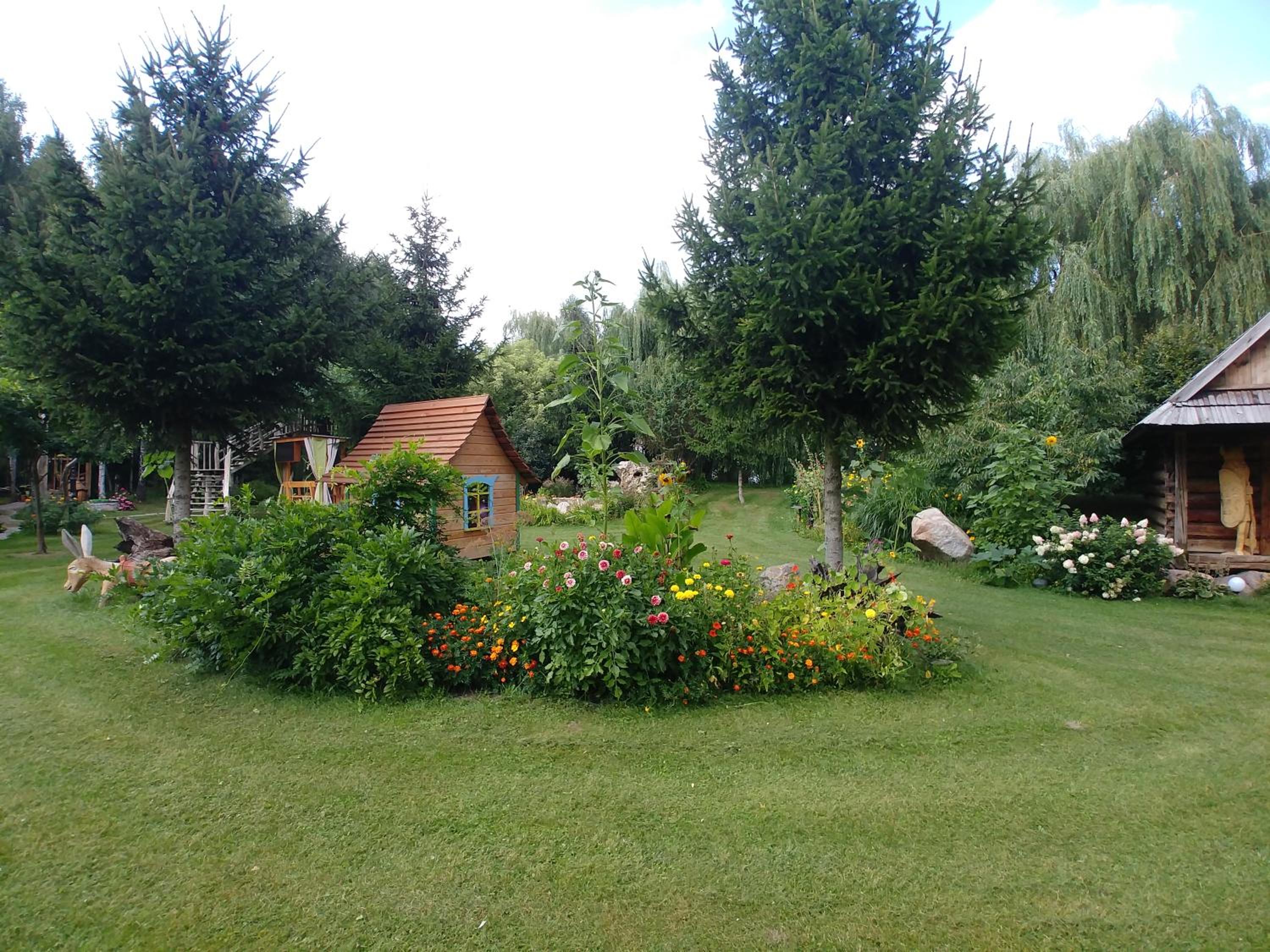 Photo 12