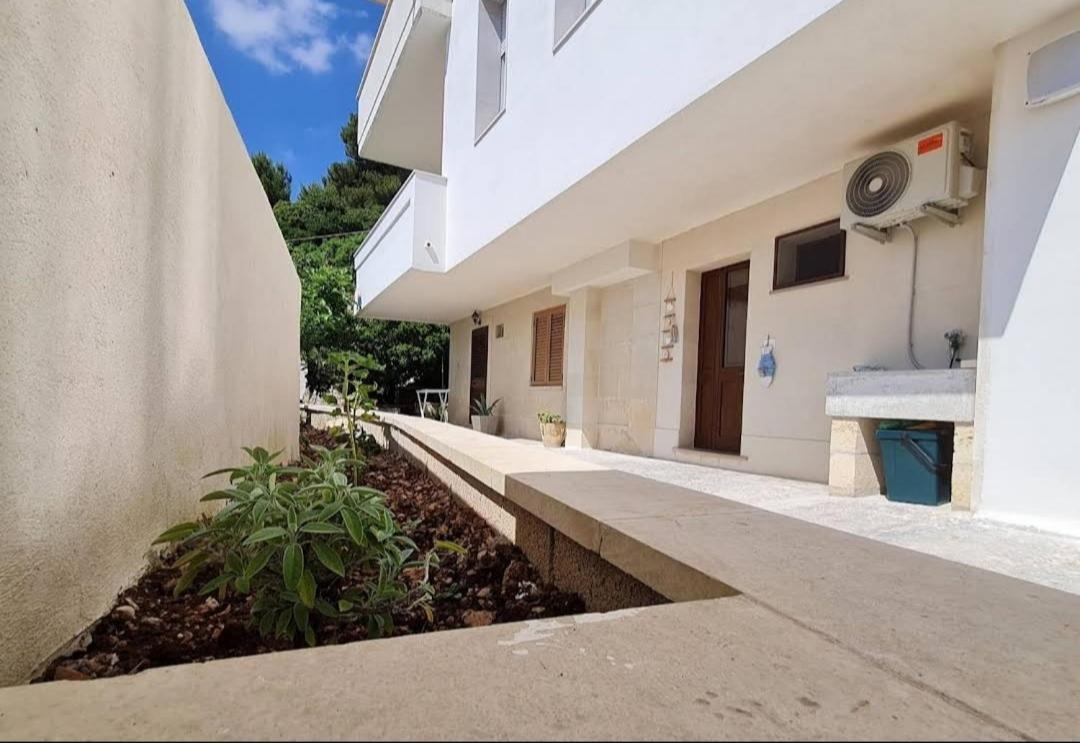 Casa vacanze Pesce azzurro photo 2