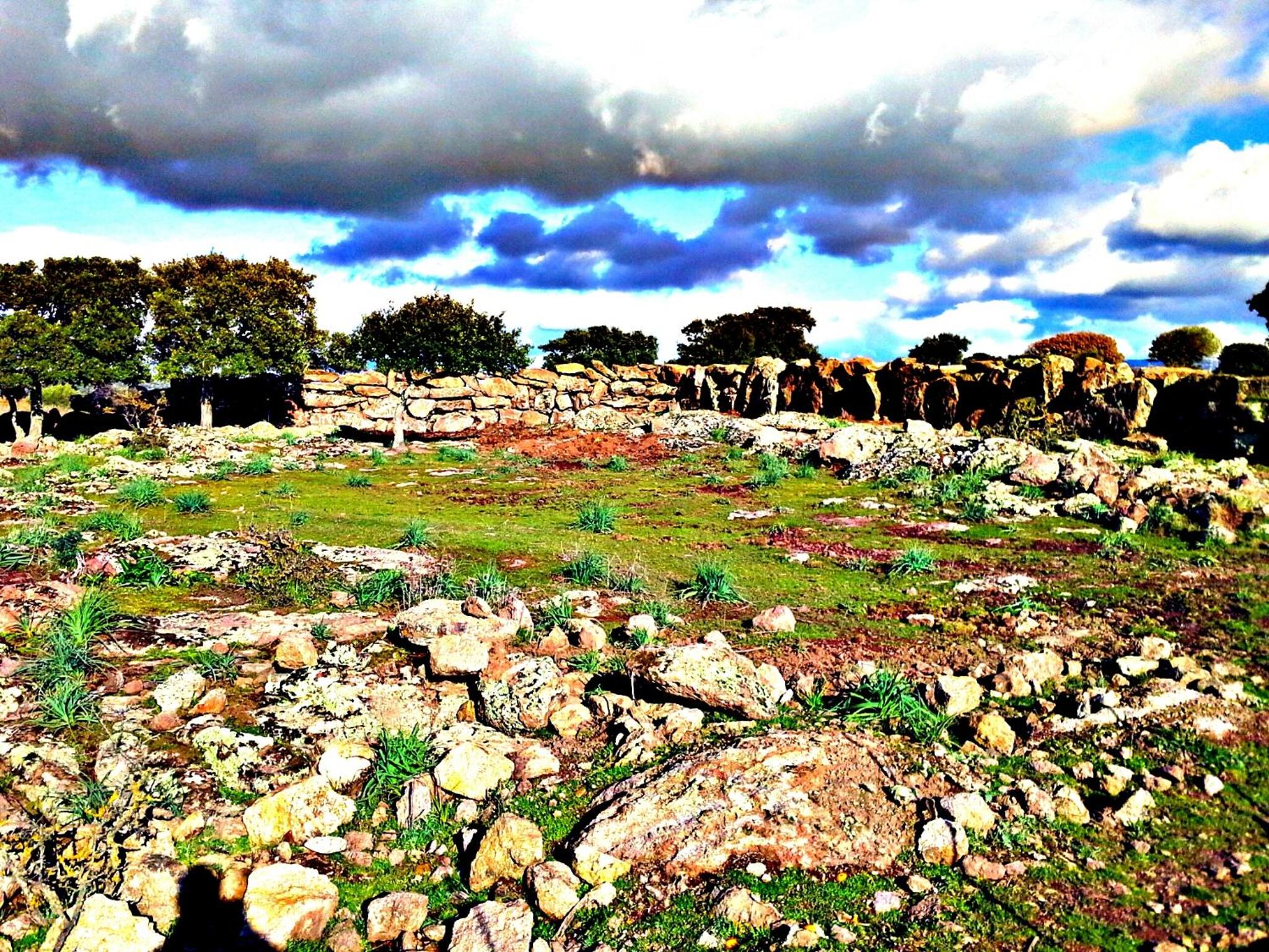 Photo 45