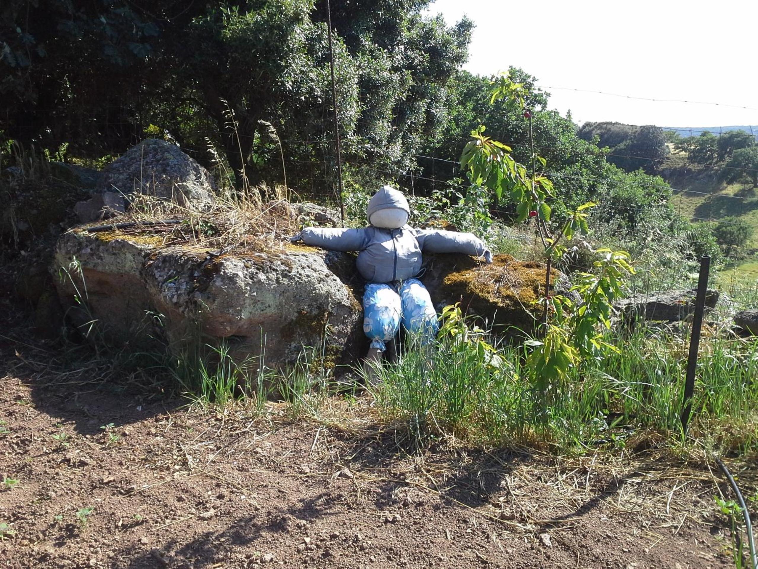 Photo 27