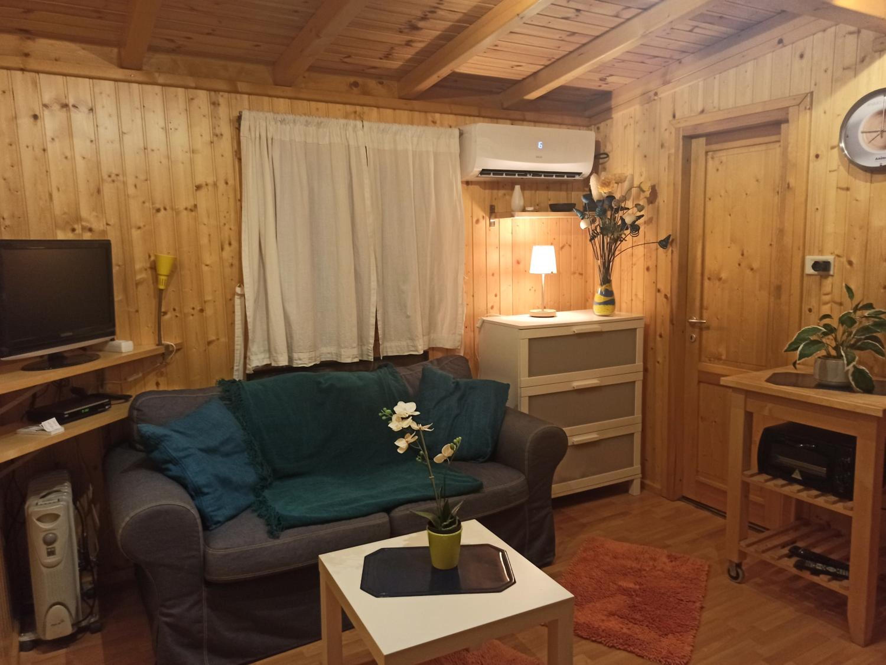 Photo 19
