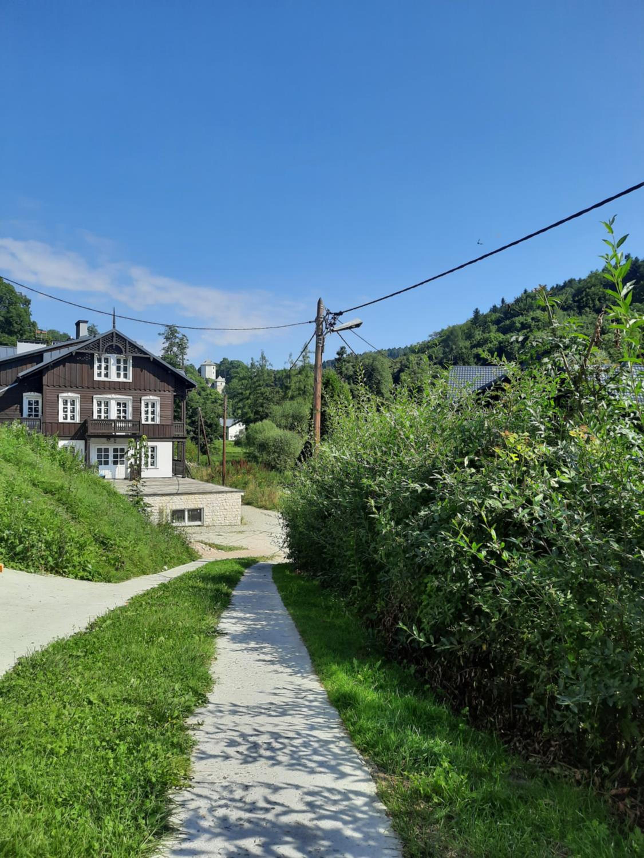 Photo 6