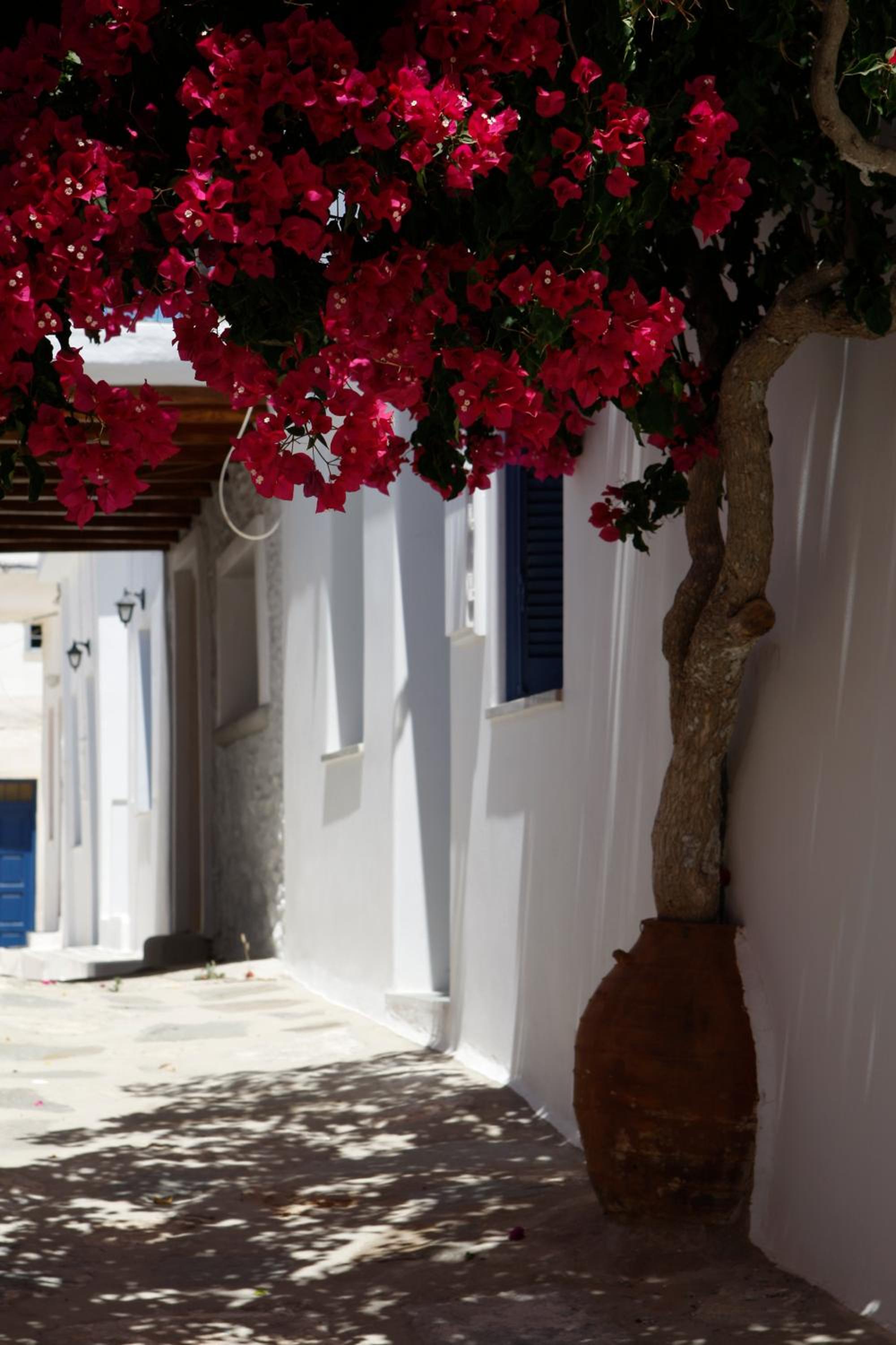 Hotel Messaria