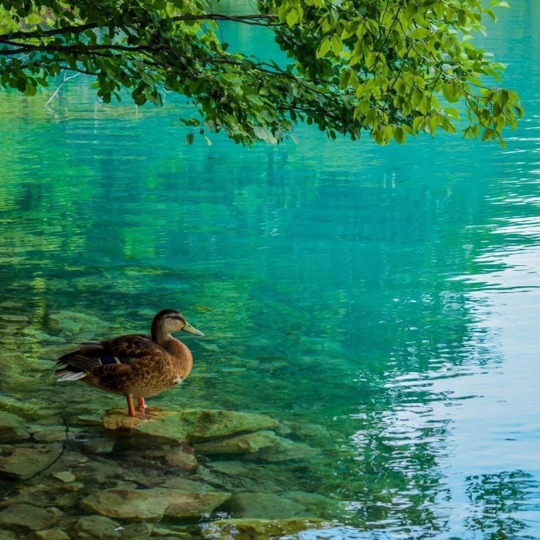 PLITVICE FAIRYTALE view 5