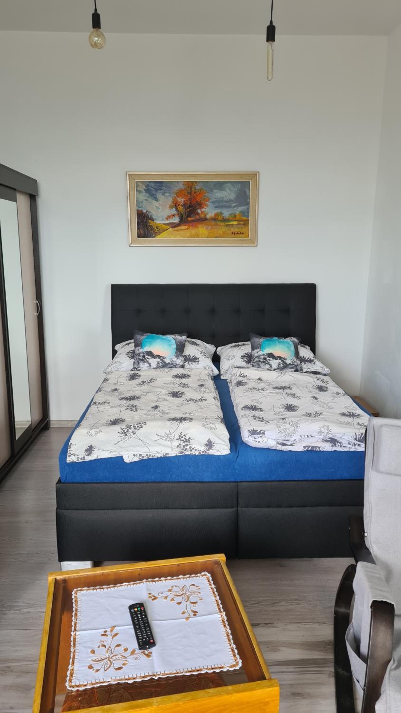 APARTMENT Neu-Schmecks view 4