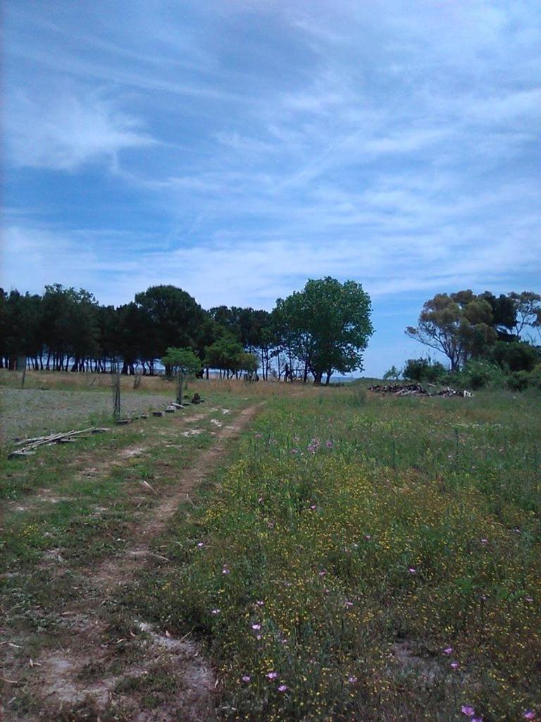 Casa vacanze