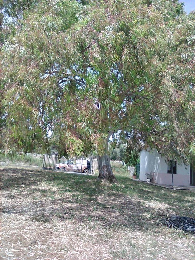 Casa vacanze