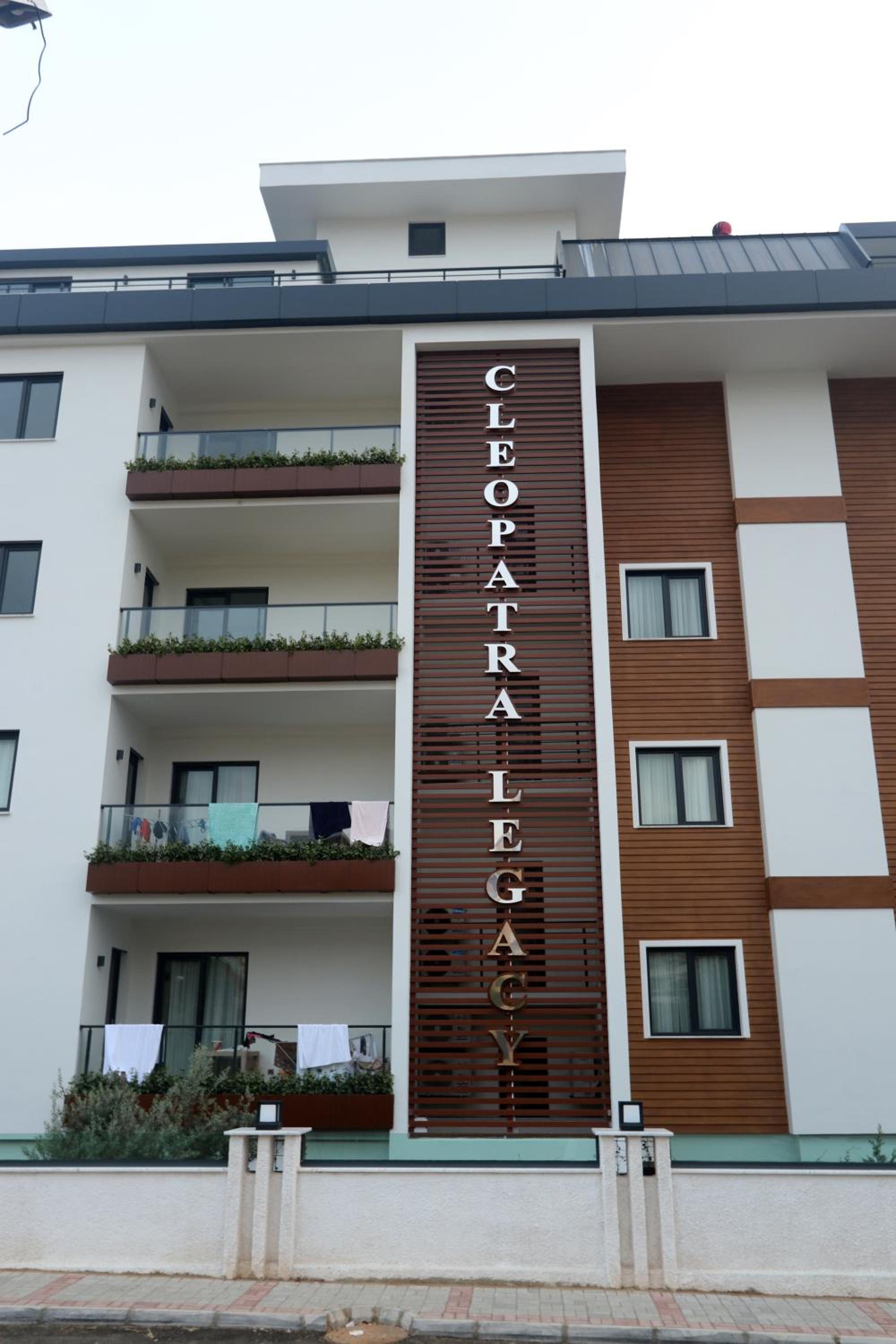 Best Home 26 Cleopatra Legacy No 8