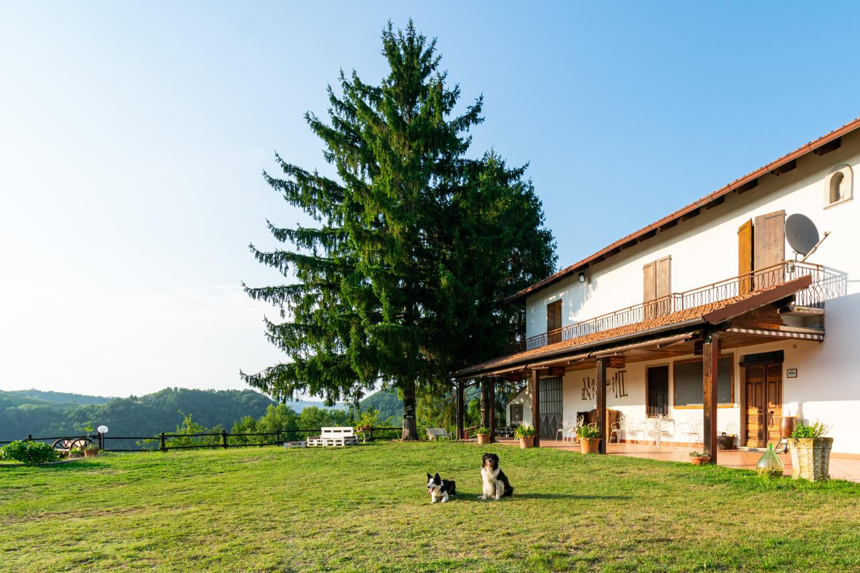 B&B Cascina Sant'Elena photo 5