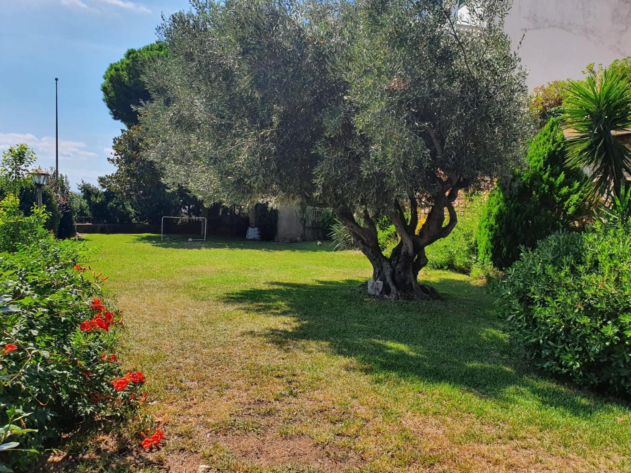 Medieval tower & villa by the sea photo 3