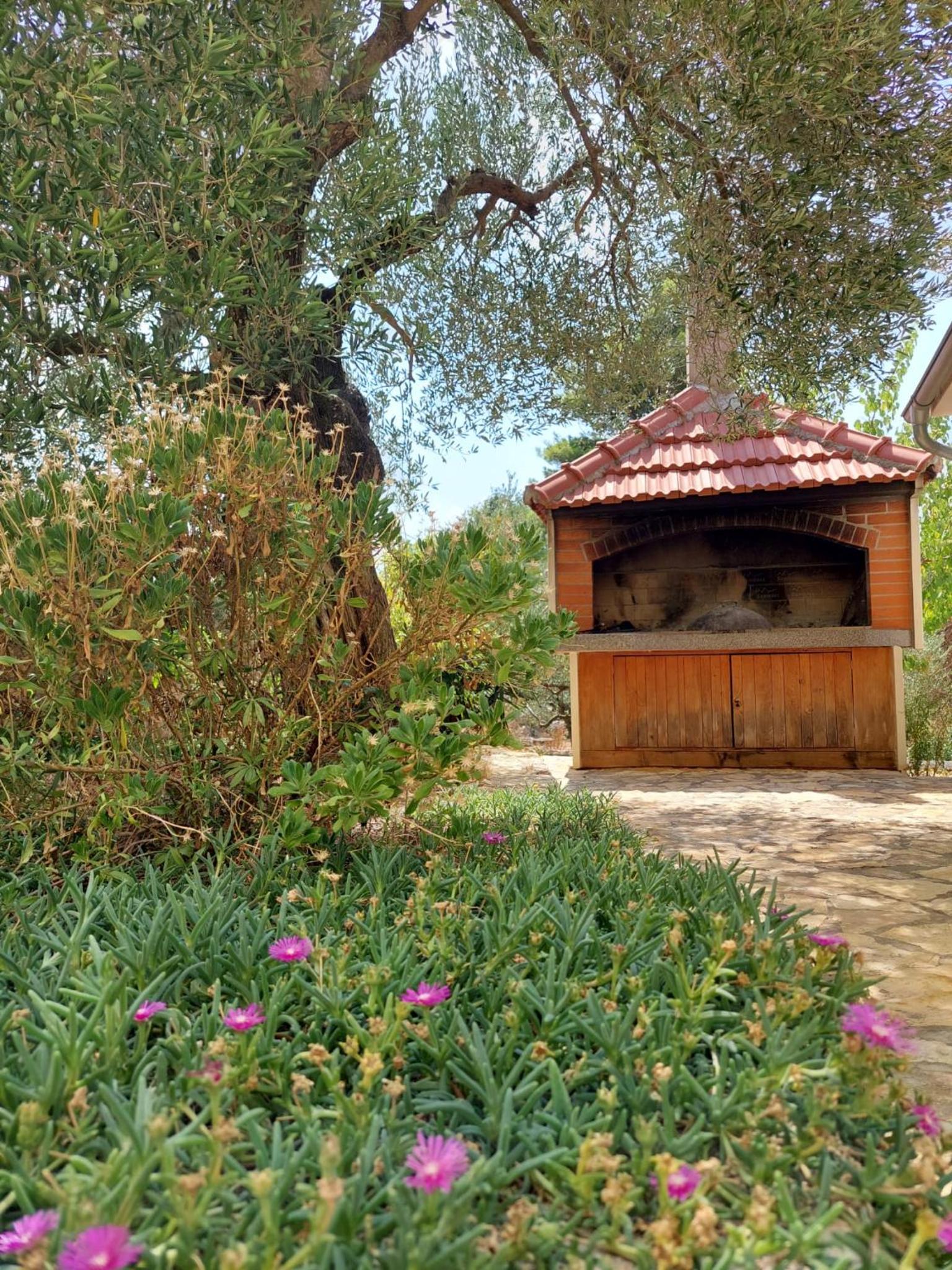 Photo 43