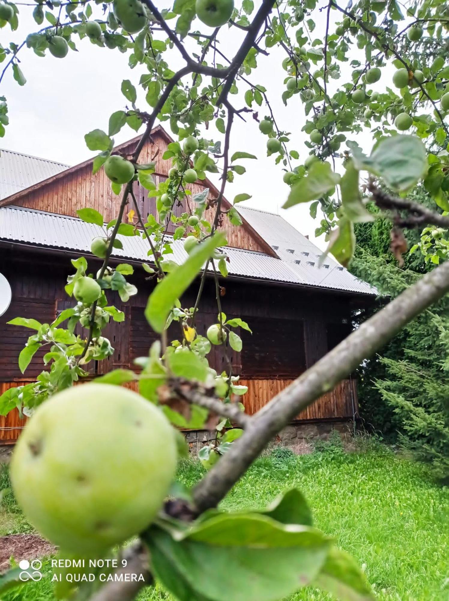 Gospodarstwo Agroturystyczne U Stasików view 4