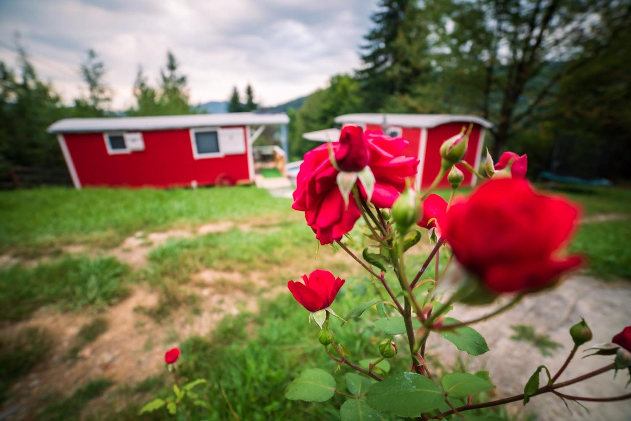 RED Tiny Houses view 4