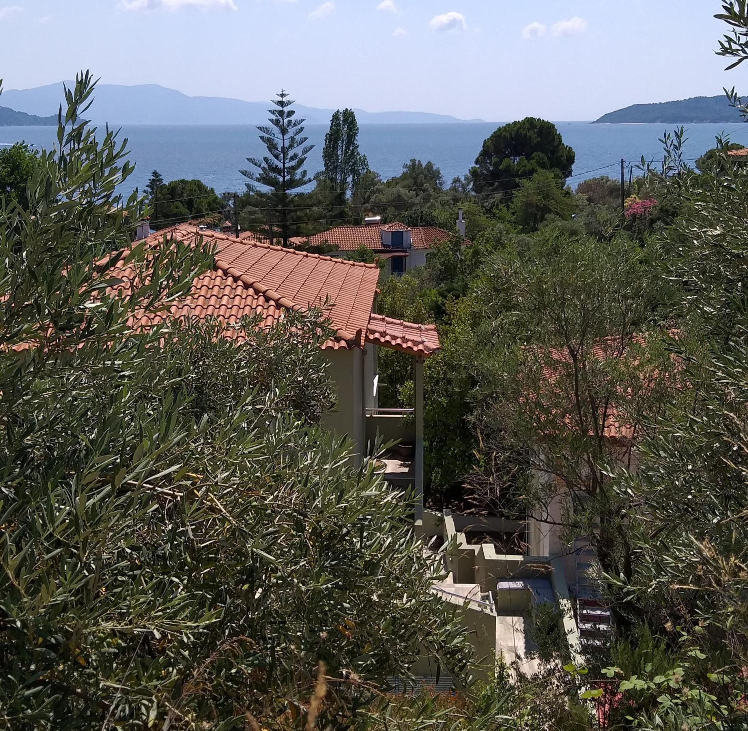 Villa Bloom