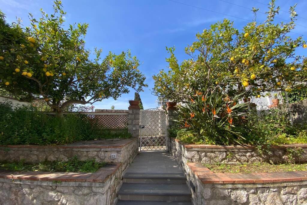 I Limoni Capri Apartment view 5