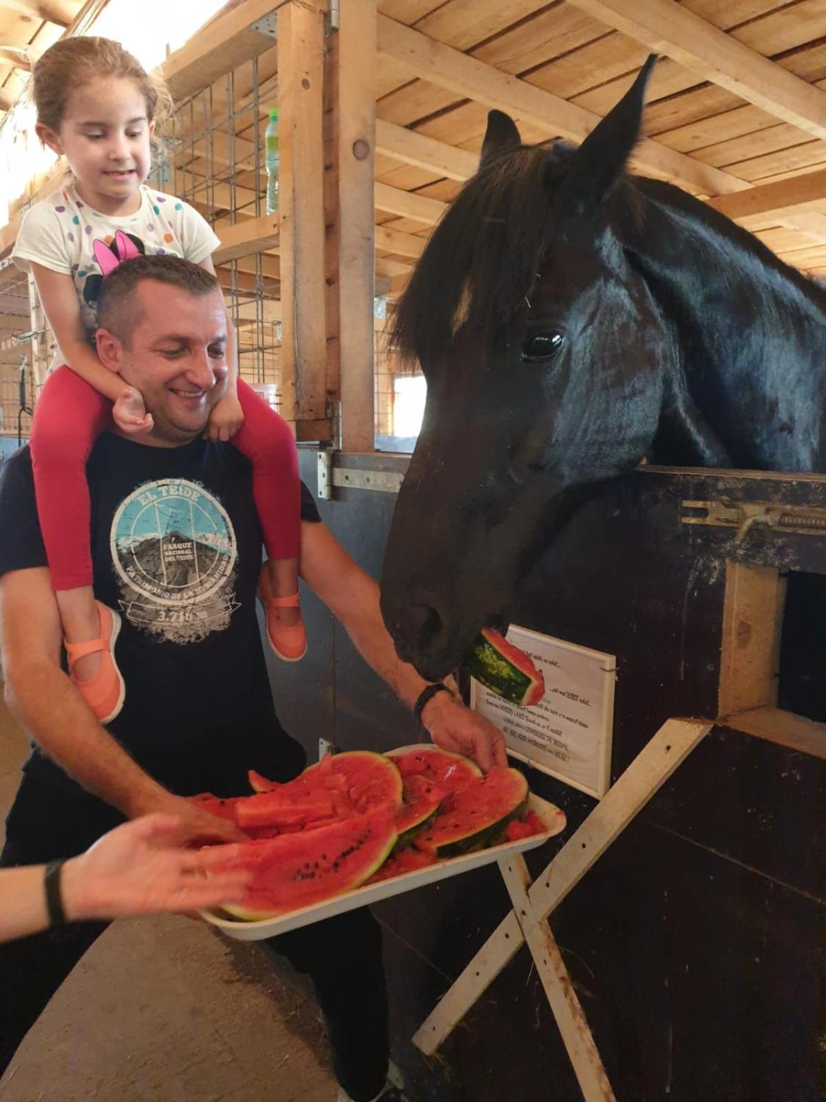 Hobby Land Ranch Horse's barn guesthouse