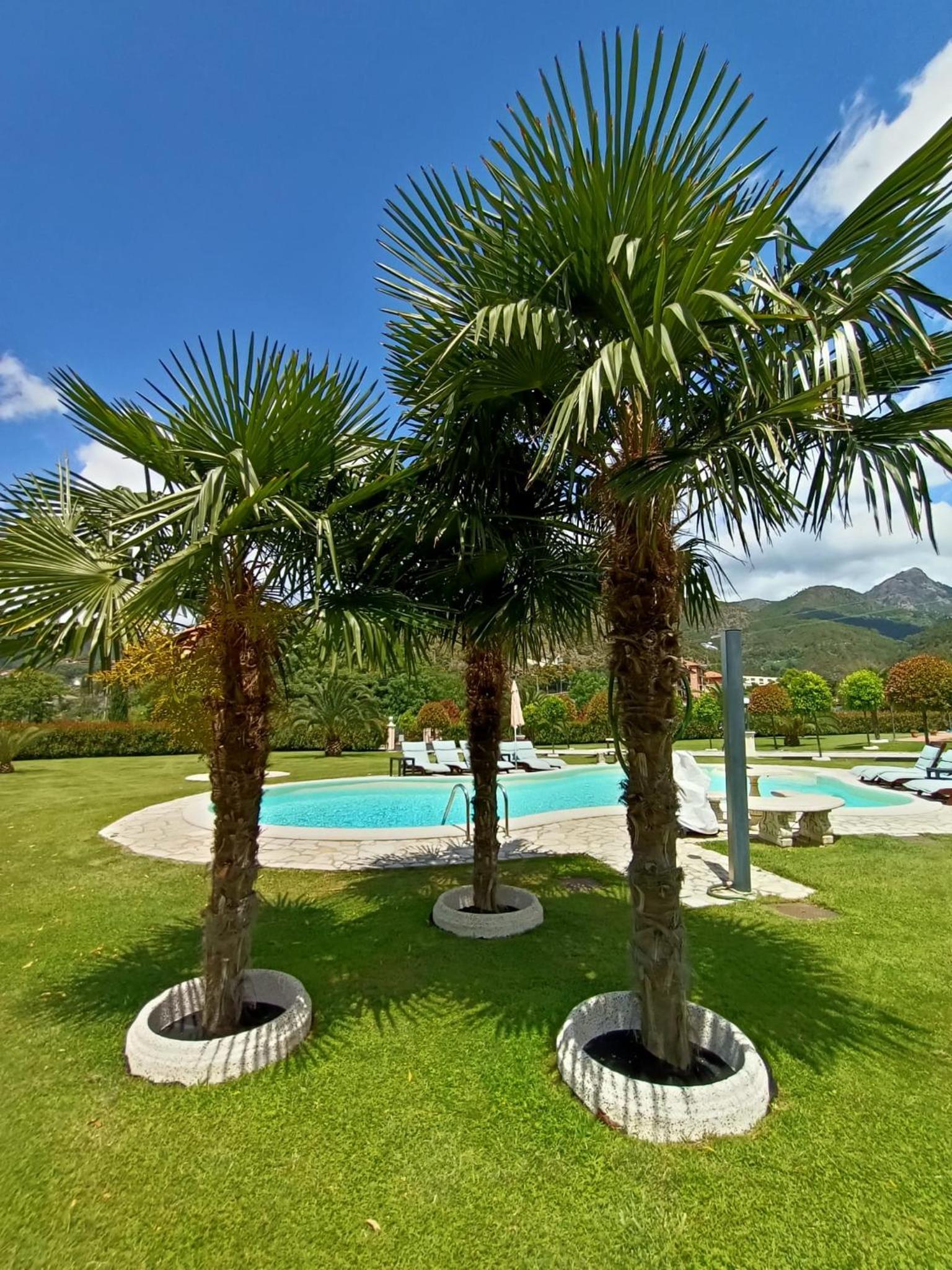 B&B Terra Di Liguria